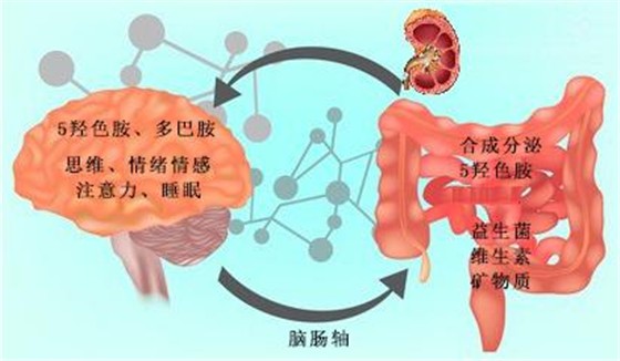 一个伟大的发现:抑郁症其实是一种代谢性疾病